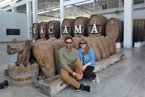 From Paracas: Full Day Ica