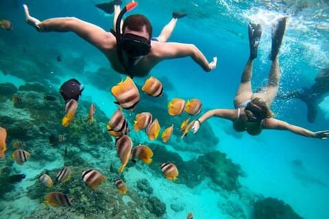 Mergulho com snorkel e almoço na Lagoa Azul - Floresta dos Macacos de Ubud - Cachoeira