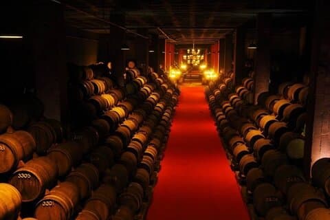 Privat tur til Bairrada vinregion med 2 vinsmagninger