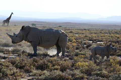 Zanzibar: 2-Day Private Magical Ngorongoro Crater Safari