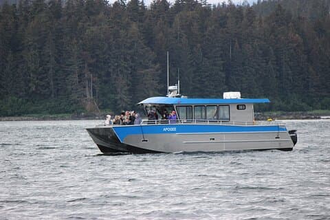 Wonderful Whales and Wildlife Tour
