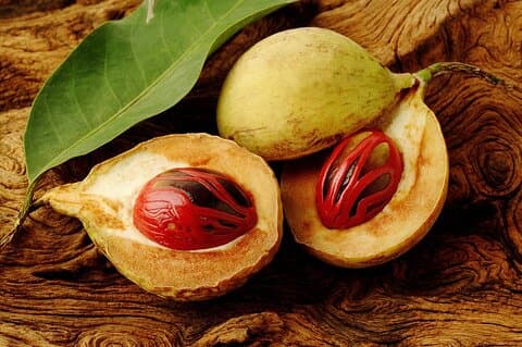 Grenada Spice Gardens, Rom & Chocolate Tour (hel/halv dag)
