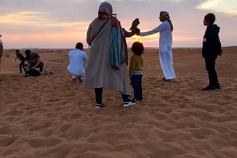 Private Desert Safari Tour in Dubai met 4x4 pick-up