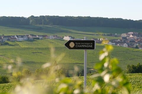 The Must-sees 3h30 from Epernay (Private Half day Champagne Tour)