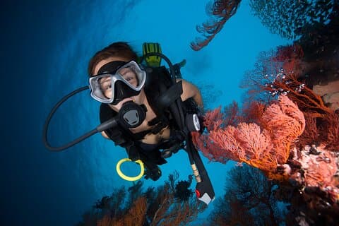 Experiência de mergulho para iniciantes em San Andres