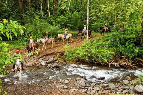 Passeggiata didattica nella cascata della foresta pluviale e giro a cavallo