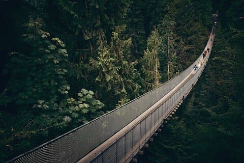 Vancouver Night Tour with Capilano & Grouse Mountain Dinner