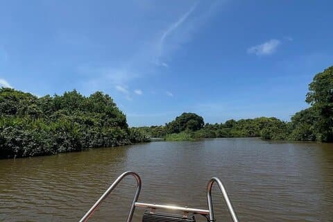 Laguna di Negombo & Muthurjawela Bird Watching Tour in barca