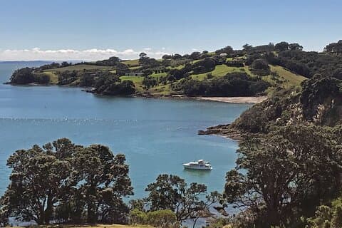 Private Personalised Tour in Waiheke Island