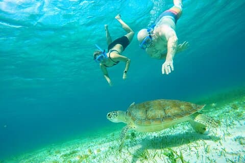 Hoteller i nærheden af Starfish, Stingrays and the Cozumel Turtle Sanctuary