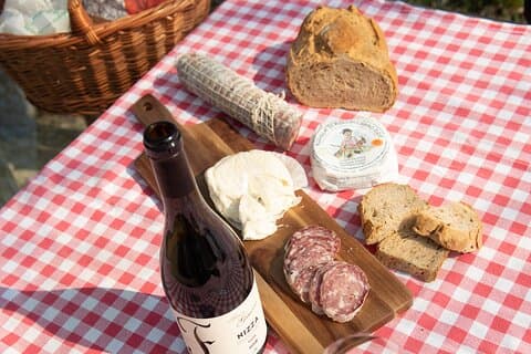 Monferrato (Asti): Wine Tour com almoço leve piquenique nas vinhas