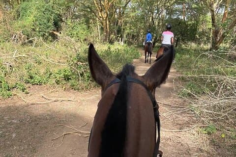 Nairobi Horseback Experience at Karura Forest