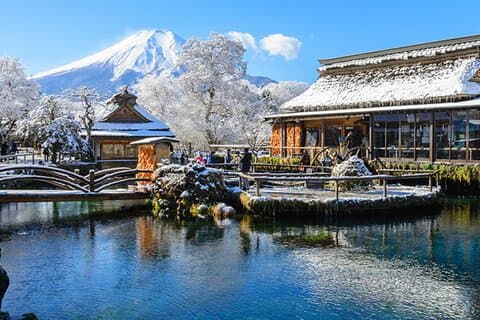 Mt Fuji, Hakone Heldags privat tur med engelsk förarguide