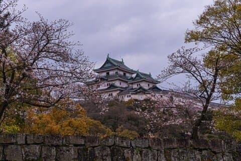 Excursão de 1 dia ao Castelo de Wakayama e Mercado Kuroshio