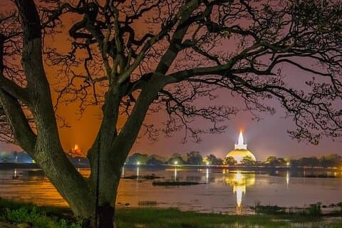 Excursion d'une journée à Aukana et Anuradhapura au départ de Colombo