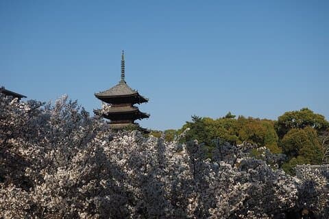 Kyoto's Werelderfgoedwandeltocht vanuit Kyoto st.