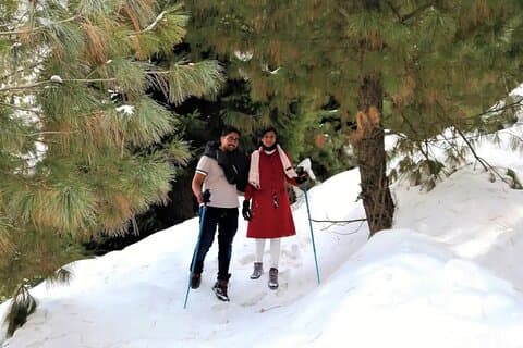Full-day Trekking Tour to Mohanmarg Meadow
