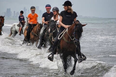 Horseback Riding Tour in Beach of Cartagena