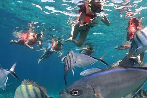 Excursão privada de catamarã à Isla Mujeres