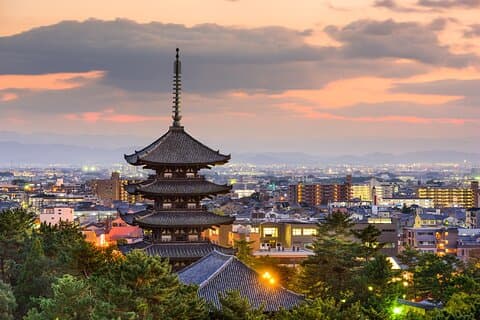 Private Tour to Nara from Osaka with English speaking Driver