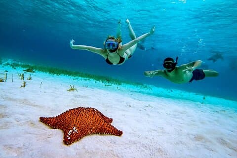 Snorkeling alla barriera corallina di Cozumel di 4 ore