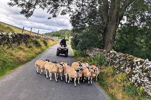 The Yorkshire Dales of All Creatures Great & Small
