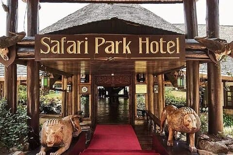 Safari Park dinner with live band music and cat dance show.