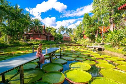 Recorrido por los templos y los nenúfares gigantes de Phuket: privado y con todo incluido
