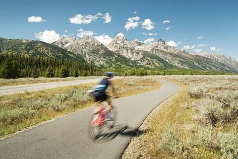 Grand Teton Full Day Private Wildlife & Biking Tour