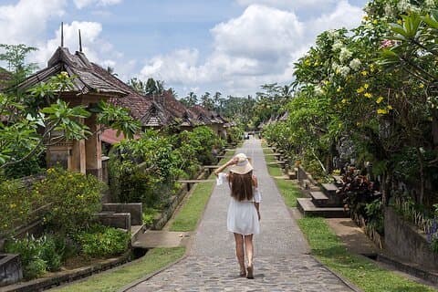 Tour della foresta di bambù del patrimonio culturale di Bali (tutto compreso privato)