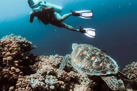 Marmaris Full Day Scuba Diving Two Dives With Lunch Hotel pickup