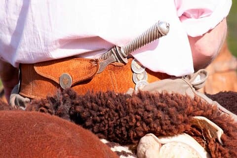 Traditionel Gaucho Festival Heldagstur fra Buenos Aires