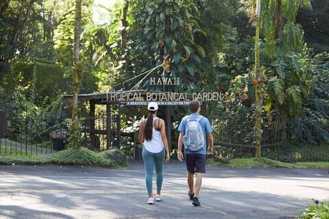 Big Island Wasserfall Tour mit Schwimmen und Botanischem Garten
