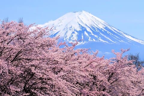Mt Fuji og Hakone 1 - Day Bus Tour Return med Bullet Train