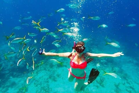 Snorkeling Lunch party West End. Roatans Tiki Catamaran Boat