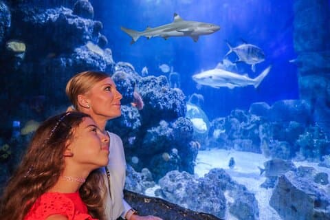 SEA LIFE München inngangsbillett