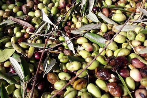 Visite privée de la campagne