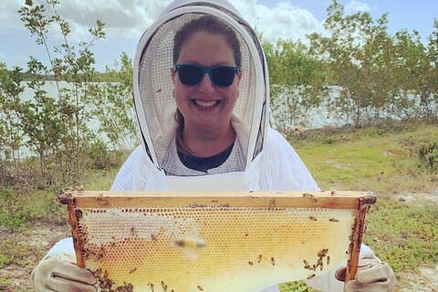 Experiência de apicultura do Grand Cayman – Hands-On Hive Tour