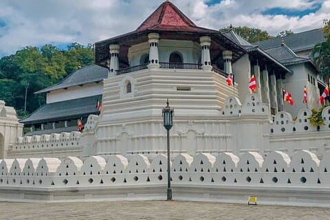 Dagtrip naar het olifantenweeshuis Kandy en Pinnawala vanuit Negombo