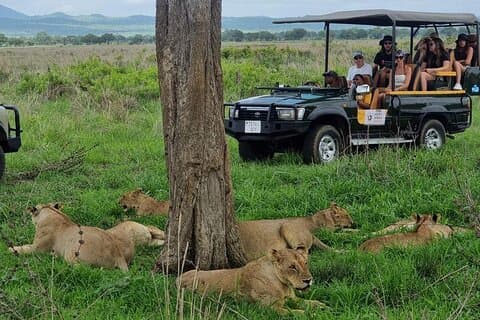 Safari de día completo desde el Parque Nacional Mikumi de Zanzíbar