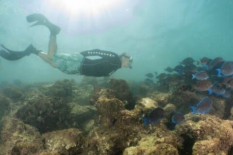Small-Group Snorkeling Boat Trip in Guánica, Puerto Rico