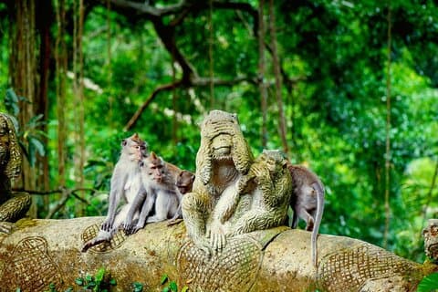 Ultimate Ubud Experience – Art, Nature & Culture in One Day