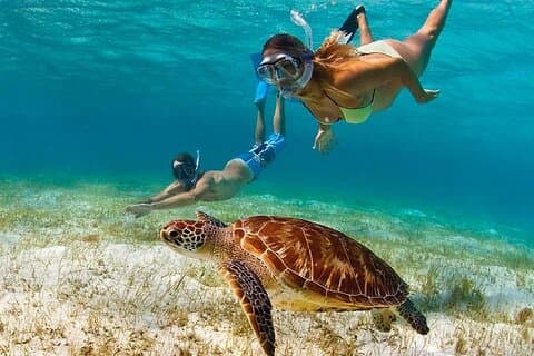 Snorkling Paddle Privat katamaran 1/2 dag Turks- og Caicosøerne