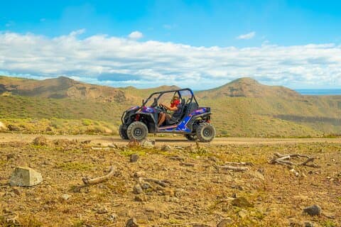 Tour in buggy alla spiaggia di Anfi