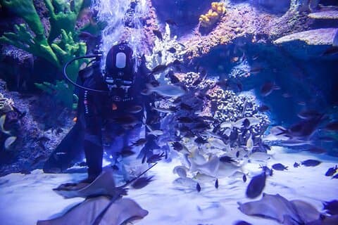 Alexander-fossen og Antalya Aquarium-dagstur fra Side