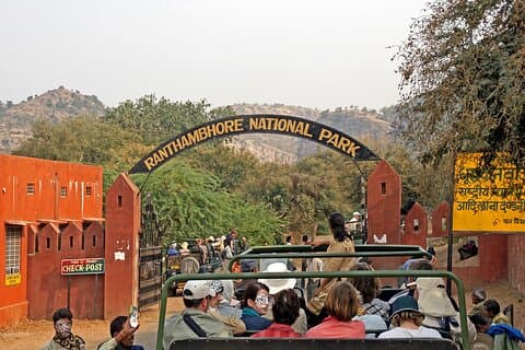 Jaipur zum Ranthambore National Park Privater Tagesausflug