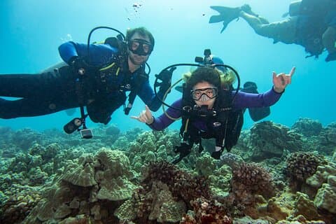 Small Group Shallow Reef Dive i Oahu