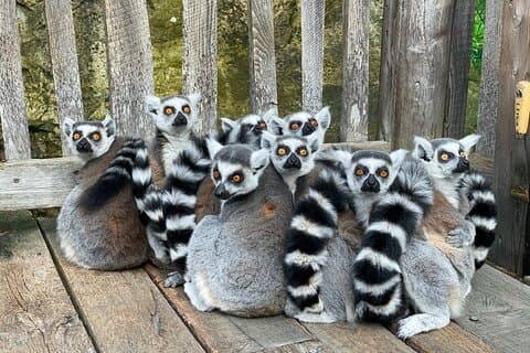 Private 14-Day Classic Route Tour in Madagascar