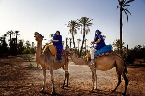 1 uur durende kamelenrit in de palmentuin van Marrakech