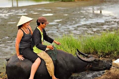 Hoi An Buffaloes Riding/Coracle Boat Tour/Coffee Class with Lunch